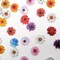 Alfykym 100Pcs Wood Daisy Buttons Painted Wooden Flower Buttons for Crafts Sunflower Wood Buttons 2 Holes Flatback Flower shaped Buttons